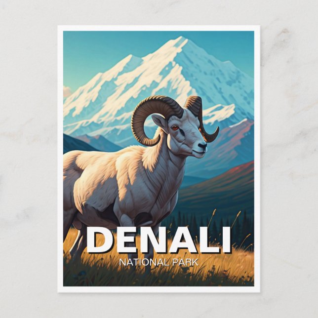 Dall Sheep in Denali National Park Alaska Postcard (Front)