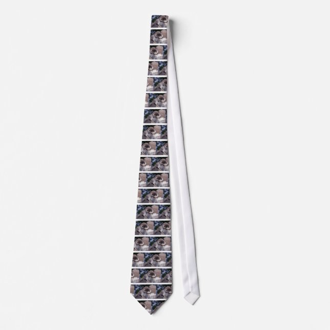 Dall sheep (Large ram) Tie (Front)