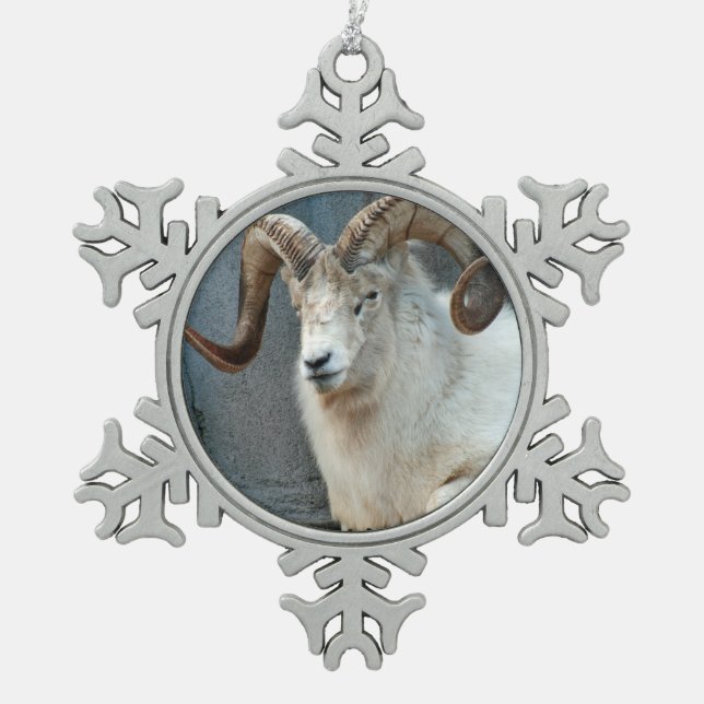 Dall Sheep Ornament (Front)