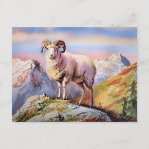 Dall Sheep Ram on a Majestic Mountain Postcard