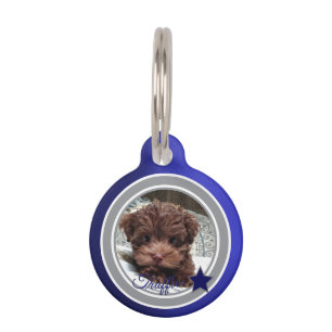 Dallas Dog Fan Customizable Pet ID Ta Pet Tag