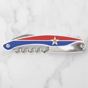 Dallas (Texas) city flag Corkscrew