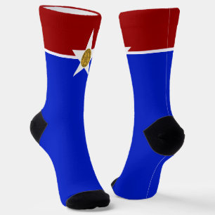 Dallas (Texas) city flag Socks