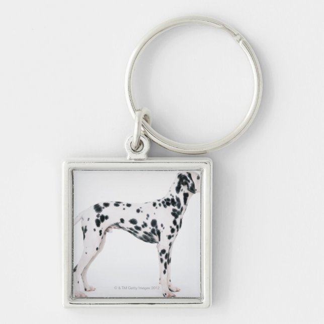 Dalmatian 3 key ring (Front)