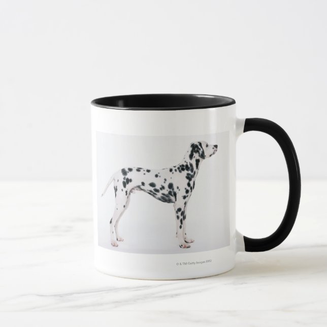 Dalmatian 3 mug (Right)