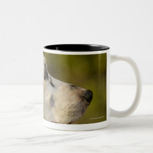 Dalmatian 4 Two-Tone coffee mug