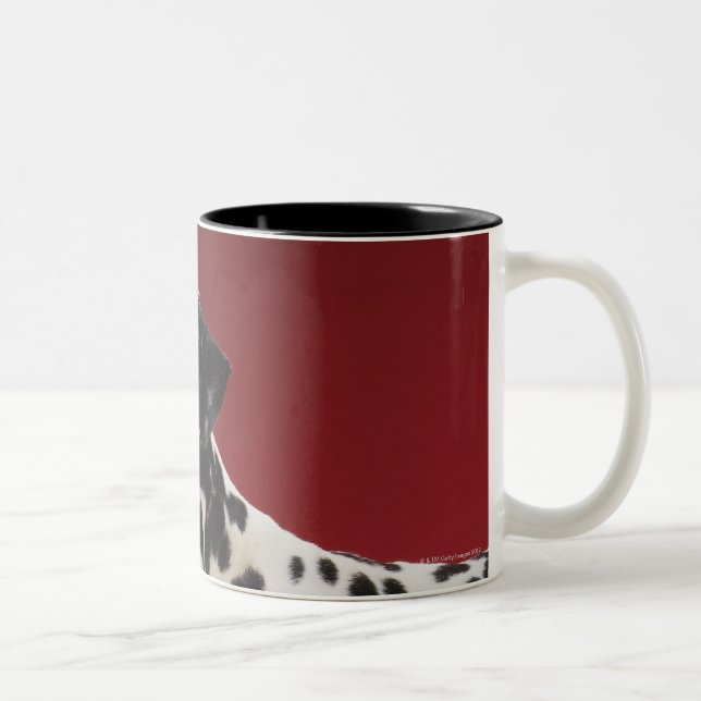Dalmatian 6 Two-Tone coffee mug (Right)