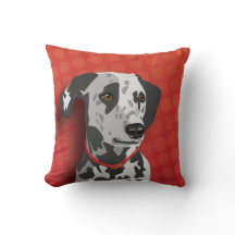 Dalmatian "Augie"