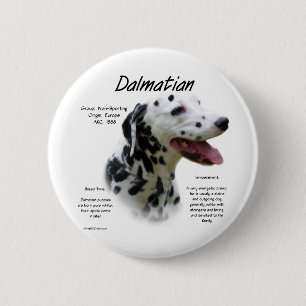 Dalmatian (blk) History Design 6 Cm Round Badge