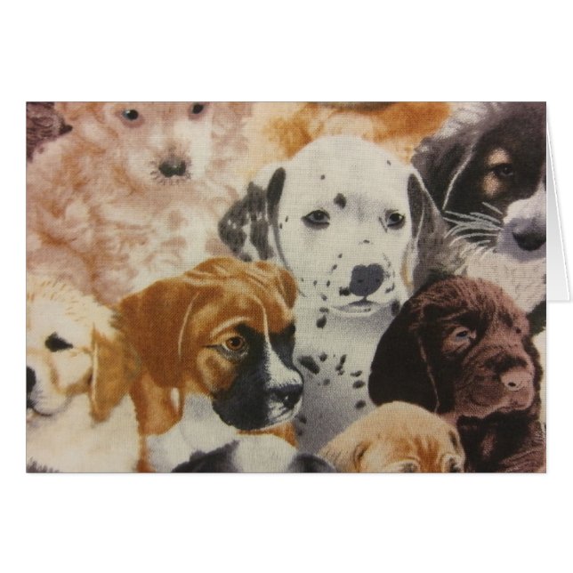 Dalmatian & Boxer Pups (Front Horizontal)