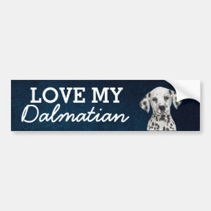 Dalmatian bumper sticker