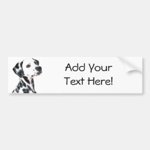 Dalmatian Bumper Sticker