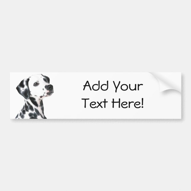 Dalmatian Bumper Sticker (Front)