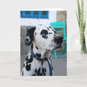 Dalmatian Card