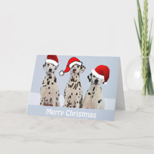 Dalmatian Christmas Card