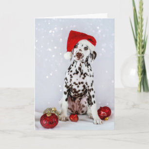 Dalmatian Christmas Card