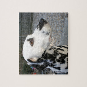 Dalmatian - Cindy's Reina Jigsaw Puzzle