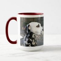 Dalmatian - Cindy's Reina
