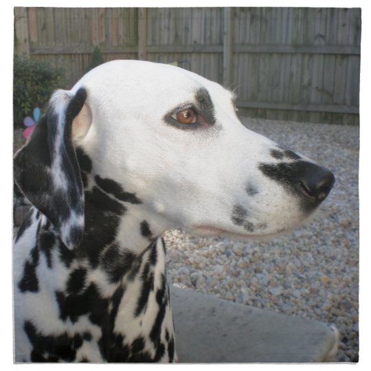 Dalmatian - Cindy's Reina Napkin