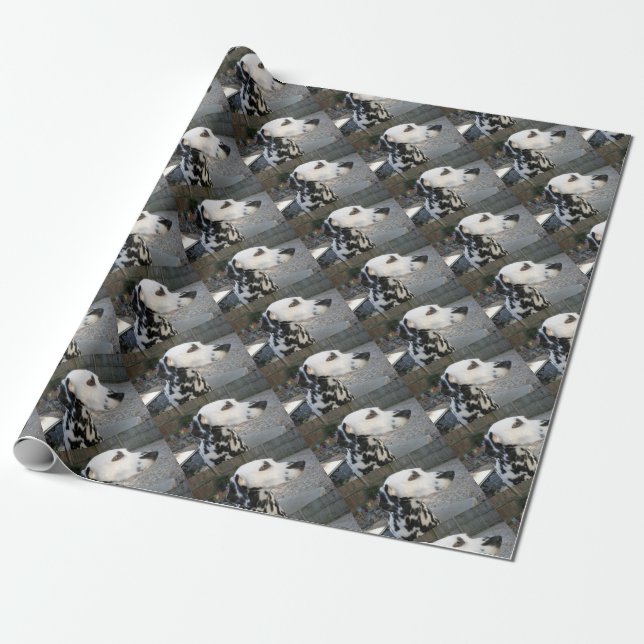 Dalmatian - Cindy's Reina Wrapping Paper (Unrolled)