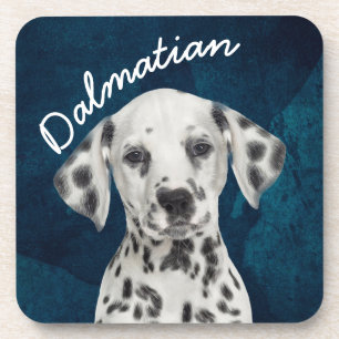 Dalmatian coaster