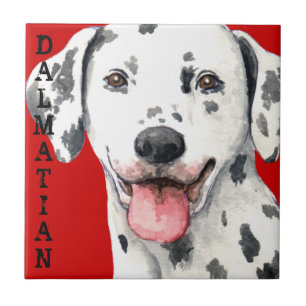 Dalmatian Colour Block Ceramic Tile