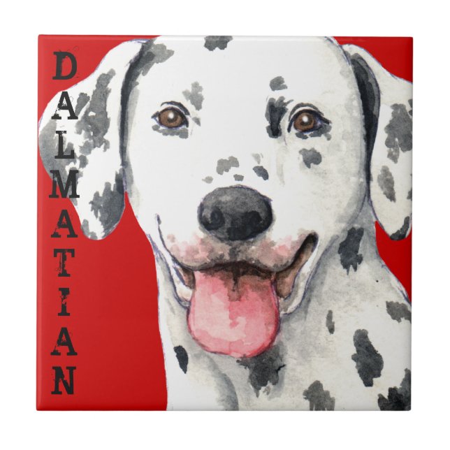Dalmatian Colour Block Ceramic Tile (Front)