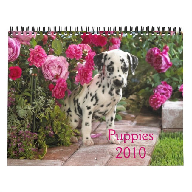 dalmatian-Cover, Puppies2010 Calendar (Cover)
