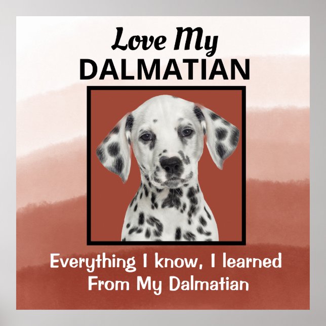 Dalmatian Custom Poster (Front)