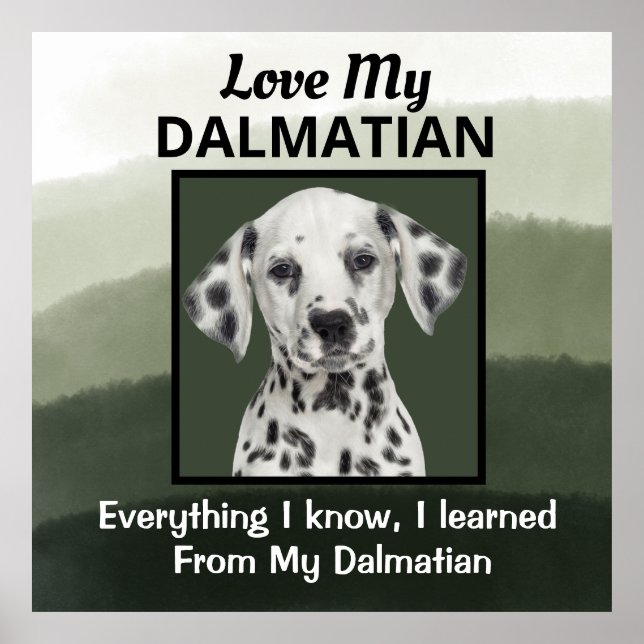 Dalmatian Custom Poster (Front)