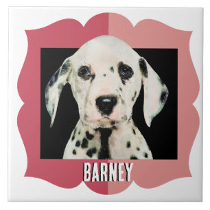 Dalmatian customised pattern photo frame ceramic tile