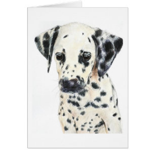 Dalmatian Dog Art