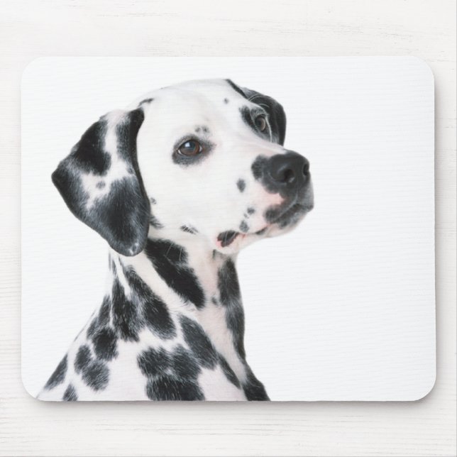 Dalmatian dog beautiful photo, gift mouse pad (Front)