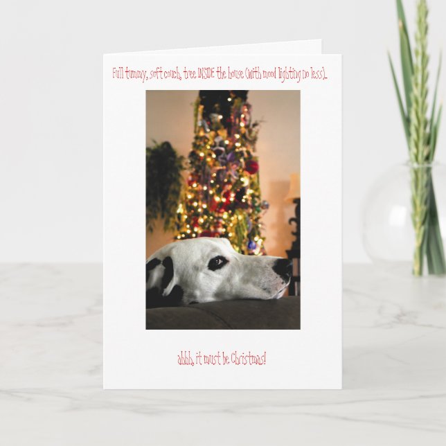 Dalmatian Dog Christmas Card (Front)