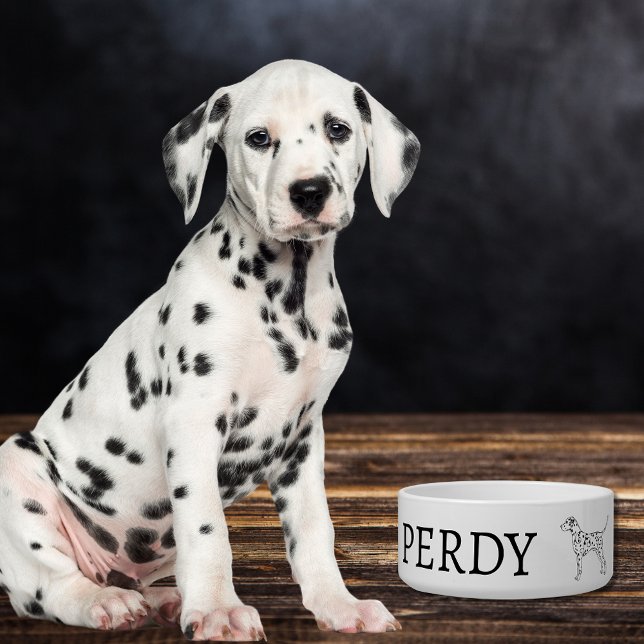 Dalmatian Dog Design Custom (Creator Uploaded)