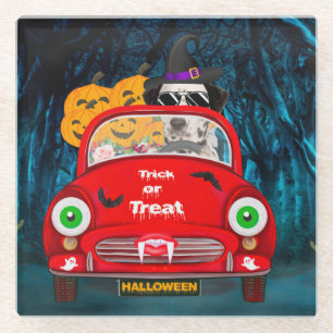 Dalmatian Dog Driving Car Scary Halloween Glass Coaster