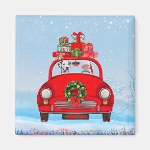 Dalmatian Dog In Car With Santa Claus  Magnet