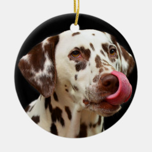 Dalmatian Dog Licking Ceramic Tree Decoration