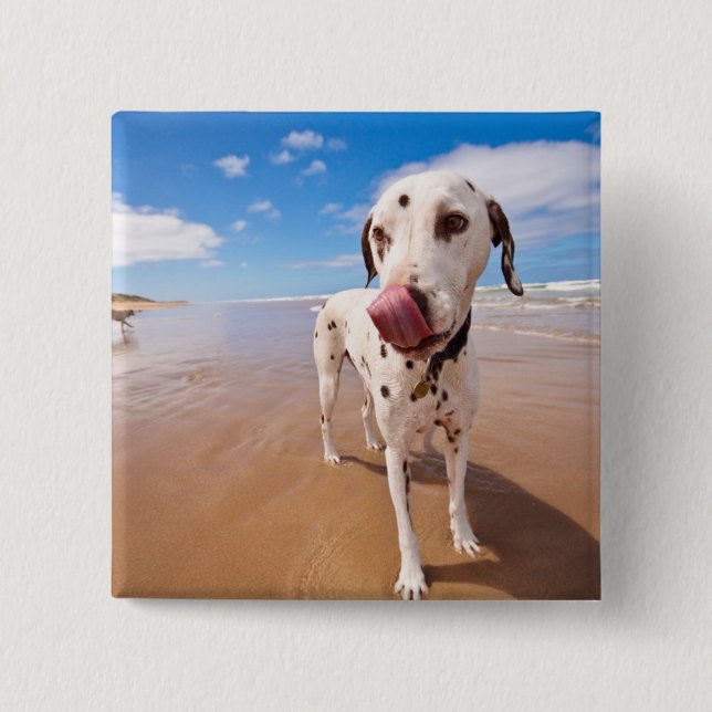 Dalmatian Dog On Beach 15 Cm Square Badge (Front)