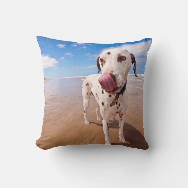 Dalmatian Dog On Beach Cushion (Front)