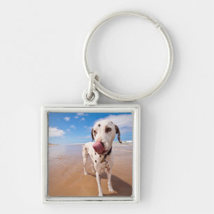 Dalmatian Dog On Beach Key Ring