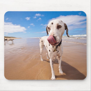 Dalmatian Dog On Beach Mouse Pad
