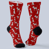 Dalmatian Dog Red