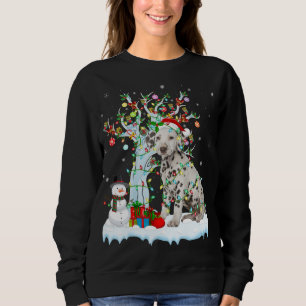 Dalmatian Dog Xmas Tree Lighting Santa Dalmatian C Sweatshirt