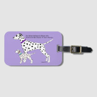 Dalmatian Dreams