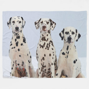 Dalmatian Family Portrait Fleece Blanket