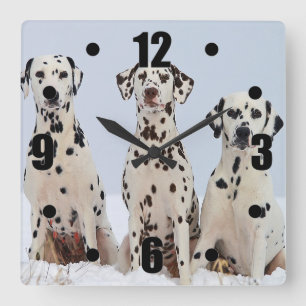 Dalmatian Family Portrait Square Wall Clock