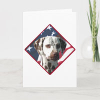 Dalmatian Flag 2
