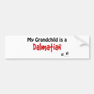 Dalmatian Grandchild Bumper Sticker