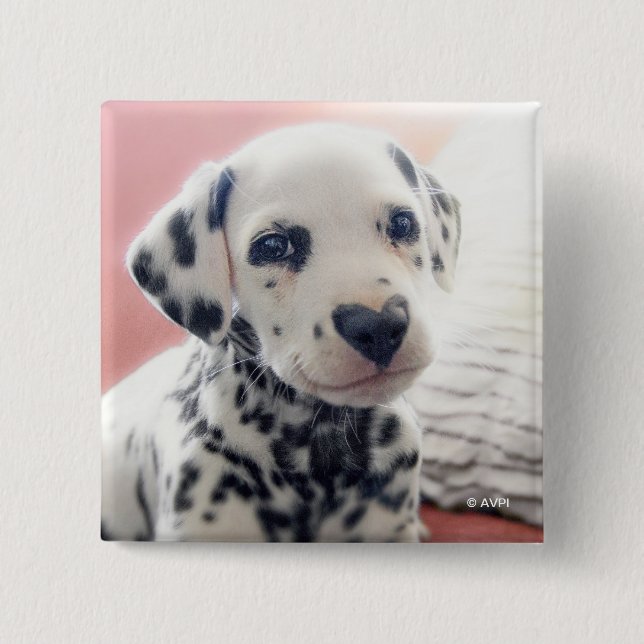 Dalmatian Heart Nose 15 Cm Square Badge (Front)